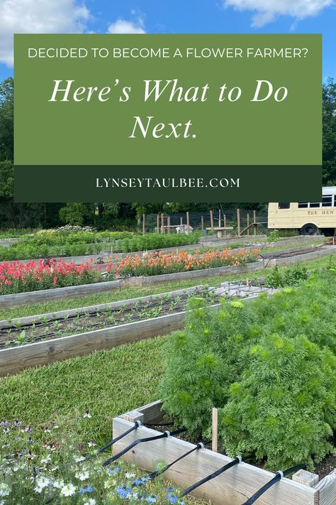 So you found the space to grow, amended and prepared the soil, and decided what to grow. But now what? Where do you find your customers? How do you keep your income consistent? And how do you maintain a work/life balance? Here are five tips I want to share with you to help you build a successful flower farming business. Most Profitable Plants To Grow, Flower Farming Business Plan, Starting A Flower Farm, Florist Business Plan, Agritourism Farms, Backyard Nursery, Florist Business, Roadside Stand, Flower Farms