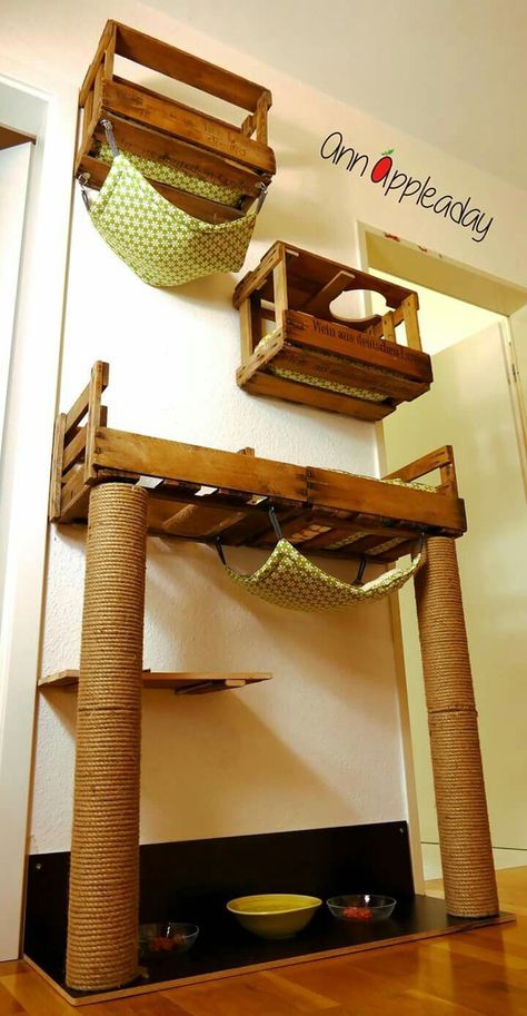 Diy Dollar Tree Cat Tower, Diy Cat Tree With Wooden Crates, Diy Cat Ladder Ideas, Cat Closet Room, Cat Playground Indoor Diy, Cat Wall Furniture Diy, Cat Furniture Diy Homemade, Bedding Sets Cozy, Diy Cat Wall Ideas