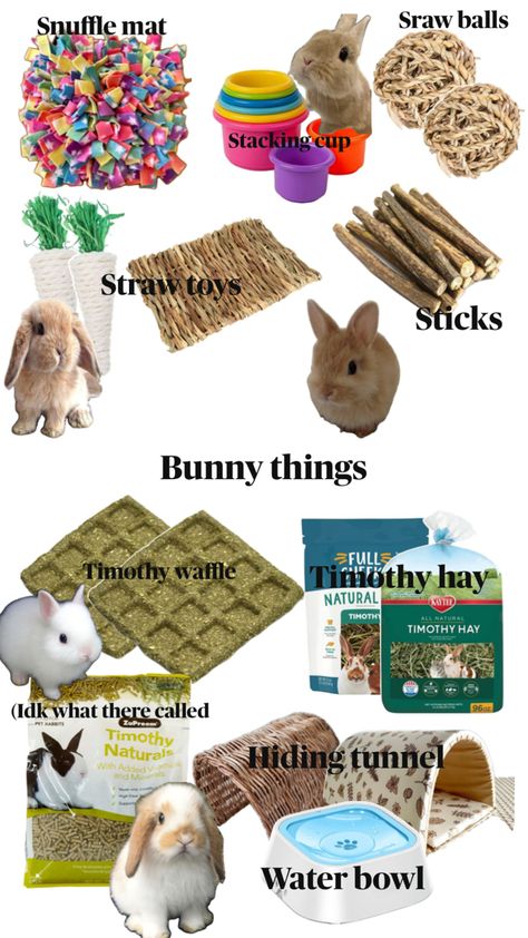 These are some basic things for a first time bunny owner Rabbit Must Haves, Bunny Essentials List, Bunny Room Set Up, Things For Bunnies, Pet Rabbits Indoor, Bunny Must Haves, Bunny Necessities, How To Take Care Of A Bunny, Bunny Checklist