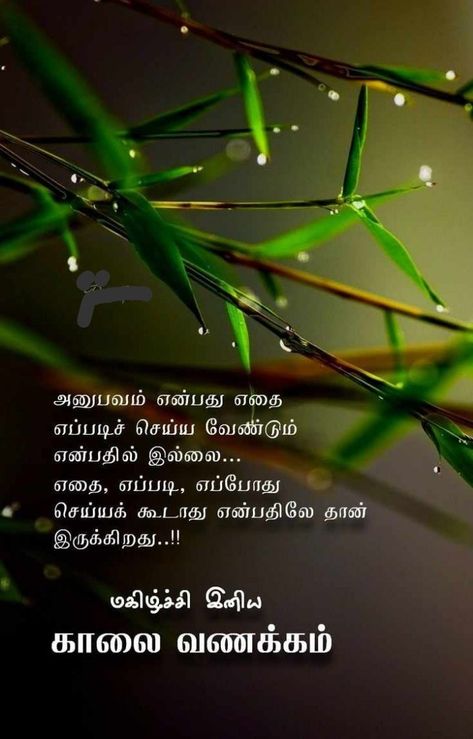 Tamil Wishes, Flowers Quotes, Reality Of Life Quotes, Good Morning Flowers Quotes, Happy Good Morning Quotes, Good Morning Friends Quotes, Photo Album Quote, Thinking Quotes, Really Good Quotes