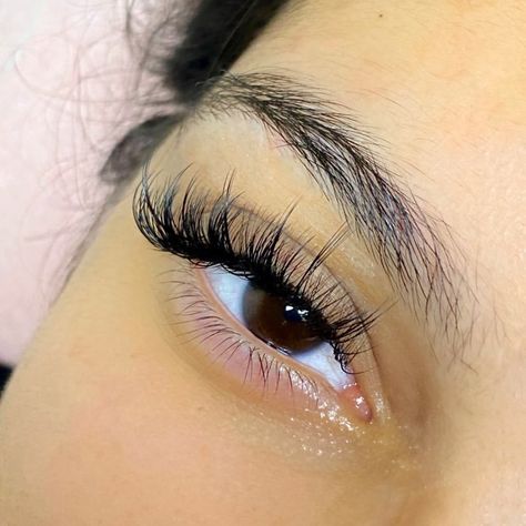 Whisky Hybrid Lash Extensions, Whisky Hybrid Lashes, Whisky Lash Extensions, Whisky Lashes, 2d Lashes, Lash Tech, Makeup Stuff, Burgundy Hair, Lash Extensions