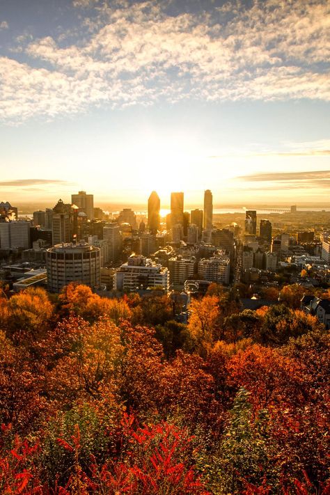 Montreal's beautiful view - fun city! Montreal Canada Photography, Mcgill Aesthetic, Trippie Art, Montreal Wallpaper, Montreal Fall, Canada Aesthetic, City Portraits, City Sunrise, Sunrise City