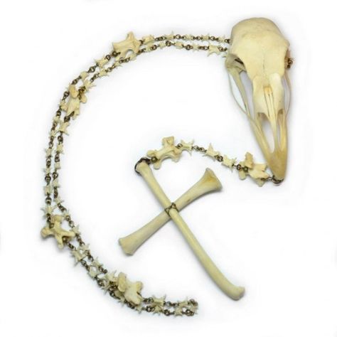 Ossuaria-jewelry7 Bone Rosary, Skull Rosary, Bone Jewellery, Animal Bone Jewelry, Snake Jewellery, Snake Vertebrae, Wallet Chains, Skull Bones, Bone Crafts