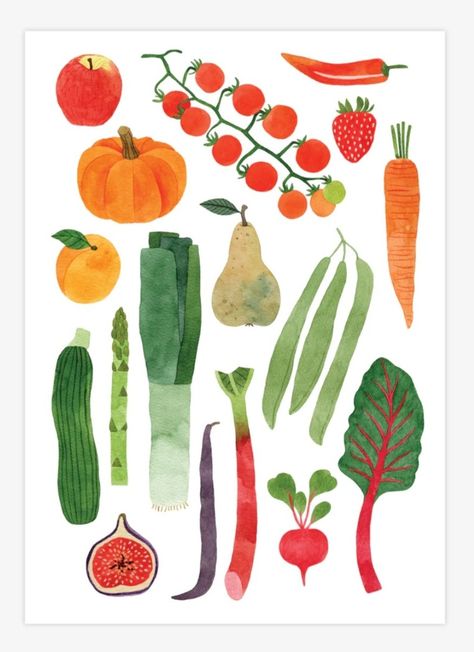 Egg Carton Illustration, Fruit And Veg Illustration, How To Draw Vegetables, Vegetable Mural, Veggie Drawings, Vegetable Doodles, Veg Illustration, Vegetable Collage, Veggies Drawing