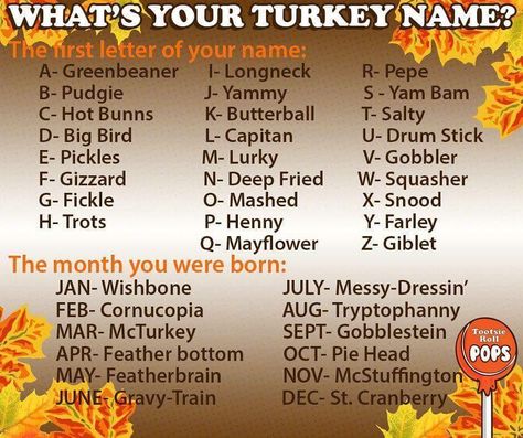 Gino's Deli Stop n buy on Instagram: “Thanksgiving is right around the corner, what's your #thanksgiving Turkey name? Aleem's is gGreenbeaner pie head. Lol #ginosDeli #ginos” Turkey Names, Holiday Names, Funny Name Generator, Interactive Facebook Posts, Facebook Engagement Posts, Engagement Posts, Facebook Engagement, Interactive Posts, Name Games