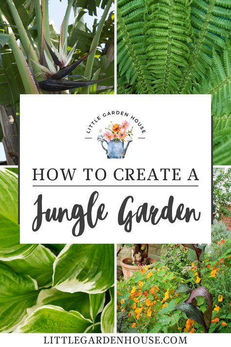 Tropical Jungle Garden, Tropical Garden Design Small Spaces, Small Jungle Garden Ideas, Large Leaf Plants, Big Leaf Plants, Small Tropical Gardens, Small Urban Garden, Jungle Style, Tropical Garden Design