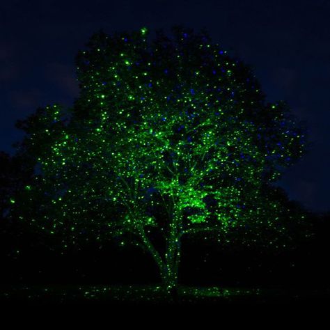 1000+ images about Green Lights on Pinterest | Green Led, Laser ... Laser Christmas Lights, Christmas Light Projector, Laser Christmas, Outdoor Tree Lighting, Icicle Christmas Lights, C9 Christmas Lights, Holiday Lights Display, Christmas Light Installation, Light Projector