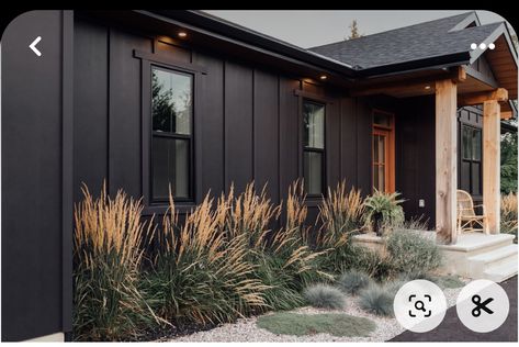 Small Black Farmhouse Exterior, Black House Exterior Landscaping, 2033 Kitchen Trends, Black Exterior Bungalow, Small House Black Exterior, Landscape For Black House, Black Siding Exterior With Wood, Black House Tin Roof, White Black Cedar House Exterior