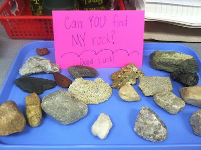 First Grade Fabulous Fish: Rocks Rock Unit, Fish Rocks, 1st Grade Science, First Grade Science, Third Grade Science, 4th Grade Science, 5th Grade Science, Earth And Space Science, Kindergarten Science