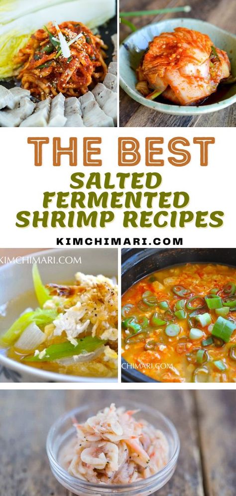 I have assembled The Best Salted Fermented Shrimp Recipes for you to enjoy. Saeujeot is an ingredient in Korean cooking that is made by salting and fermenting tiny shrimps over many months. It is a well-known and an essential ingredient in making Kimchi, but you can actually use it in a variety of other dishes and it helps to greatly deepen the flavor! Salted Shrimp Recipe, Korean Shrimp Recipe, Shrimp Sauce Recipes, Kimchi Pork, Kimchi Cabbage, Making Kimchi, Salted Shrimp, Easy Korean Recipes, Pickled Cabbage