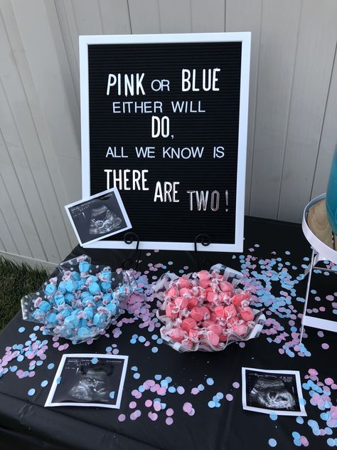 Twin Gender Reveal Party Themes, Gender Reveal Games For Twins, Gender Reveal Theme Ideas For Twins, Gender Reveal Theme For Twins, Twin Reveal Ideas Surprise, Double Gender Reveal Ideas, Gender Reveal Ideas For Twins Surprise, Gender Reveal Ideas For Party Twins, Twin Gender Reveal Decorations