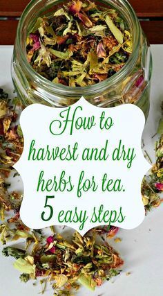 How To Dry Herbs And Flowers, Drying Leaves For Tea, Drying Tea Leaves, Dry Herbs For Tea, Dry Your Own Herbs, How To Dry Flowers For Tea, How To Dry Tea Leaves, Herbs To Grow For Tea, Drying Herbs For Tea