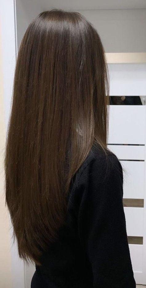 Brown Hair Looks, Brown Hair Inspo, روتين العناية بالبشرة, Hair Stylies, Haircuts Straight Hair, Best Version Of Yourself, Hair Inspo Color, Shiny Hair, Aesthetic Hair