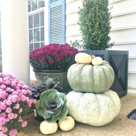 Interior Decorating Blog - Pasadena Interior Decorator Blog Fall Porch Decorating Ideas, Types Of Pumpkins, Porch Decorating Ideas, Homemade Halloween Decorations, Autumn Decorating, Fall Tablescapes, Fall Front Porch, Homemade Halloween, Front Porch Decorating