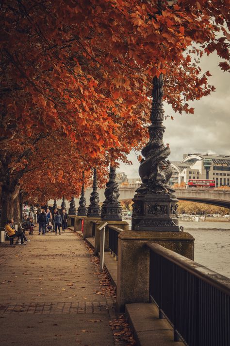 #London #autumn #autumnvibes  #autumnleaves #londontravel  #londontown  #londonhistory #england Chelsea Core Aesthetic, London In October Aesthetic, London Fall Aesthetic, Autumn Uk Aesthetic, London Autumn Aesthetic, Autumn London Aesthetic, London In Autumn Aesthetic, London In November Aesthetic, Autumn In London Aesthetic