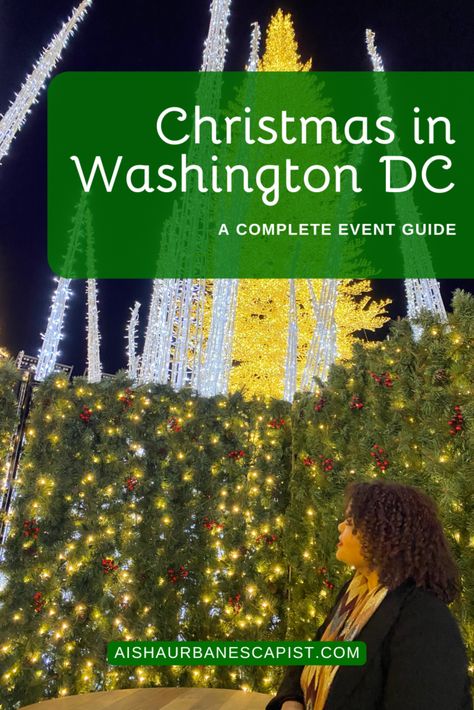 A Complete Guide to Christmas in Washington, DC Washington Dc Christmas, Dc Christmas, Winter Light Festival, National Christmas Tree, Garden Of Lights, Washington National Cathedral, Christmas Tree Lots, World Of Wanderlust, German Christmas Markets