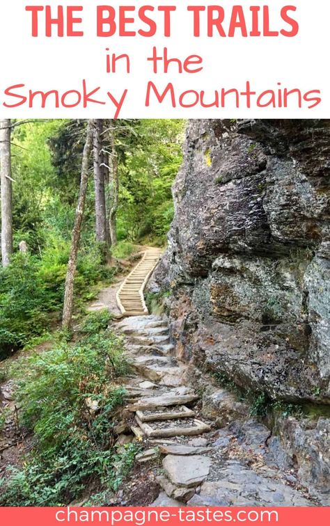 Are you planning to go hiking in the Smokies? Check out my hiking tips, plus some of the best trails in the Great Smoky Mountains National Park. Smoky Mountain Trails, Tennessee Family Vacation, Gatlinburg Tennessee Vacation, Smokey Mountains National Park, Tennessee Road Trip, Smokey Mountains Vacation, Mountains Vacation, Gatlinburg Vacation, Smoky Mountains Vacation