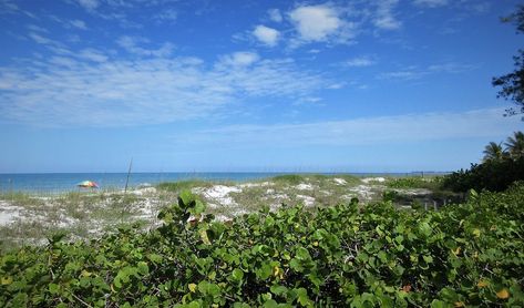 Cortez Beach (Bradenton) - 2019 All You Need to Know BEFORE You Go (with Photos) - TripAdvisor Roadtrip Ideas, Bradenton Florida, Road Trip With Kids, Anna Maria Island, Beach Florida, 2 Photos, Travel With Kids, Places To See, Trip Advisor