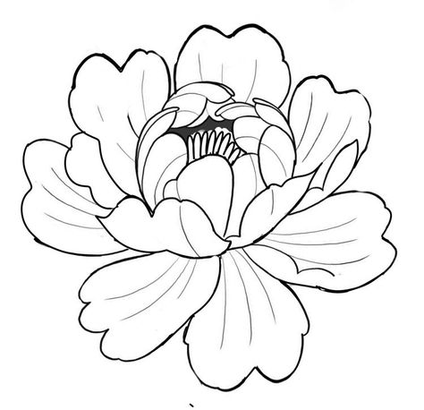 Simple Floral Pattern Drawing, How To Draw A Peony, Peonies Drawing Simple, Peony Outline Tattoo, Peonies Outline, Floral Outline Drawing, Peony Flower Drawing, Peony Outline, Art Studio Interior Design