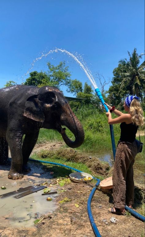 Volunteering With Animals, Wildlife Biologist, Africa Wildlife, Africa Animals, Vision Quest, Adventure Aesthetic, Pretty Animals, Crazy Life, Gap Year