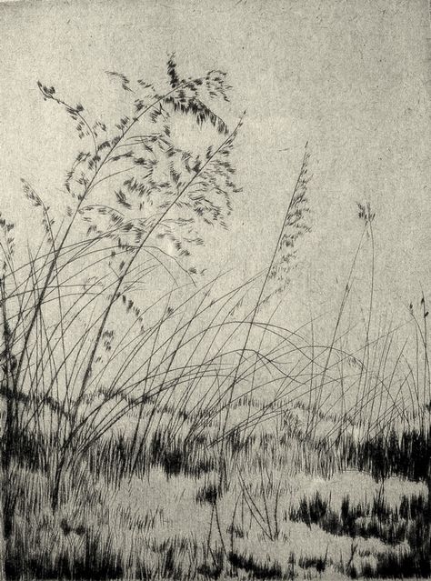 Lyman Byxbe, etching, 1933 Drypoint Etching Inspiration, Dry Point, Painting Digital, Intaglio Printmaking, Drypoint Etching, Etching Prints, Encaustic Painting, 수채화 그림, Landscape Drawings