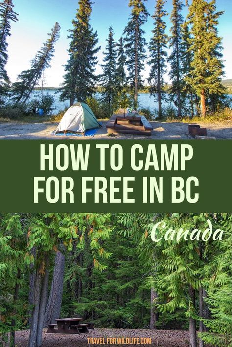 Are you looking for free camping in BC, Canada? With over a thousand recreation sites in this Canadian province you can camp in many of them for free. You just need to know how to look for them. Here is how to find free campsites. #camping #roadtrip #Canada #BC #BritishColumbia Canada Travel Winter, Food Outdoor, Camping Winter, Columbia Travel, How To Camp, British Columbia Travel, Blog Success, Backpacking Meals, Camping Sites