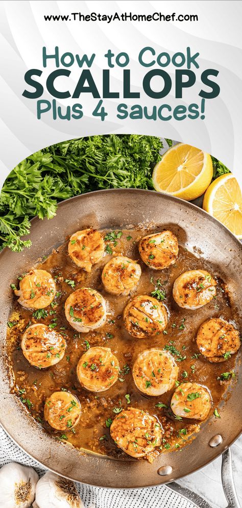 Scallops are an extremely versatile and flavorful seafood dish. Ready in just 10 minutes, this is one of the easiest and quickest dinners that the whole family will love. Including 4 sauce options! Cook Scallops, Seafood Scallops, How To Cook Scallops, Stay At Home Chef, Delicious Seafood Recipes, Scallop Recipes, Grilled Seafood, Seafood Dinner, Full Meal Recipes