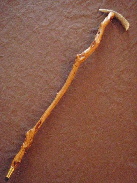 Diamond Willow + Antler Tee Handle Cane #2 | LumberJocks Woodworking Forum Mounted Antlers, Diamond Willow, Hanger Bolts, Canes And Walking Sticks, Cane Handles, Elk Antlers, Shop Projects, Antlers, Woodworking