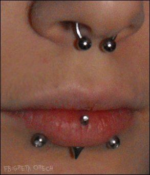 Septum , vertical labret and snake bites . Vertical Snakebites Piercing, Snake Bites Vertical Labret, Emo Snake Bites, Spike Vertical Labret, Vertical Labret With Snake Bites, Snakebites And Vertical Labret, Snake Bites And Labret, Snake Bites And Septum, Snakebite Jewelry