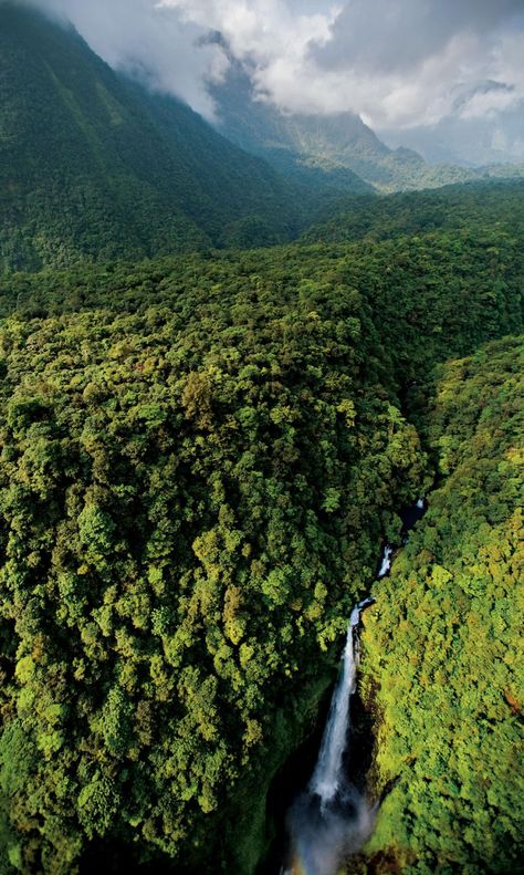 Guinea Africa, Breathtaking Scenery, Spanish Speaking Countries, Spanish Speaking, Travel Africa, National Geographic Magazine, Central Africa, Liberia, Green Forest