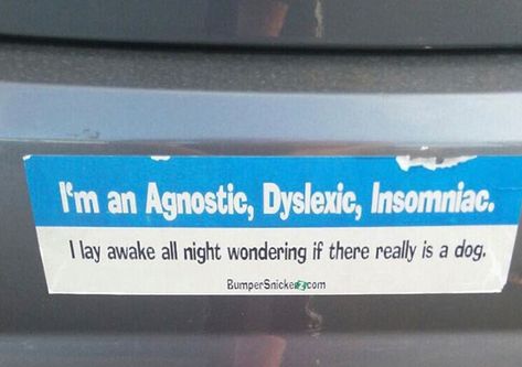 Quite Possibly My Favorite Bumper Sticker Problem Meme, Witty One Liners, Stickers Funny, Funny Bumper Stickers, Top Funny, Bumper Sticker, Funny Signs, Images Gif, Funny Texts