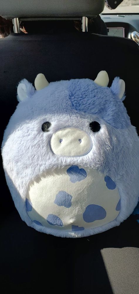 Fluffy Cow Squishmallow, Cute Cow Squishmallows, Blue Cow Squishmallow, Blueberry Cow Squishmallow, Bubba Squishmallow, Fluffy Squishmallows, Aesthetic Squishmallow, Purple Squishmallow, Blue Squishmallow