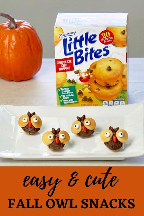 Owl Snacks Preschool, Owl Snacks For Kids, Not So Spooky Halloween Party, Little Bites Muffins, Owl Snacks, Owl Food, Class Snacks, Recycle Craft, Adorable Owls