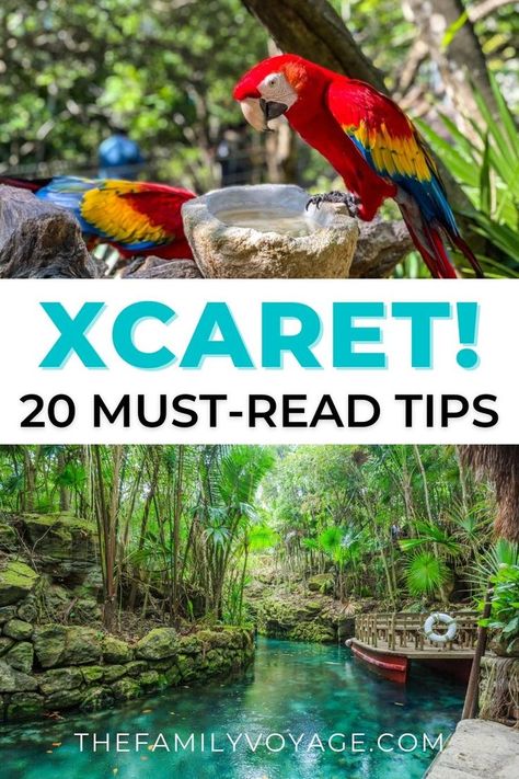 Cancun On A Budget Mexico, The Fives Playa Del Carmen, Cancun Activities Things To Do, Playa Del Carmen With Kids, Cancun Must Do, Xcaret Outfits Ideas, Things To Do In Playa Del Carmen, Things To Do In Cancun Mexico, Occidental Xcaret Mexico