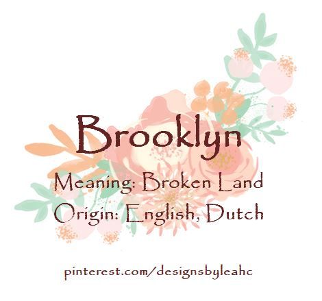 Baby Girl Name: Brooklyn. | Meaning: Broken Land. | Origin: English, Dutch. || www.pinterest.com/designsbyleahc Wren Name, Swedish Names, Meaningful Baby Names, Baby Girl Name, Names Girl, Name Origins, Name Inspiration