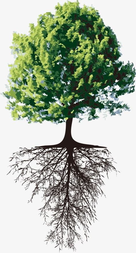 Tree With Roots Painting, Tree Images Clip Art, Tree With Roots Drawing, Tree Illustration Design, Tree Illustration Art, Roots Drawing, Tree With Roots, Word Tattoo Ideas, Word Tattoo