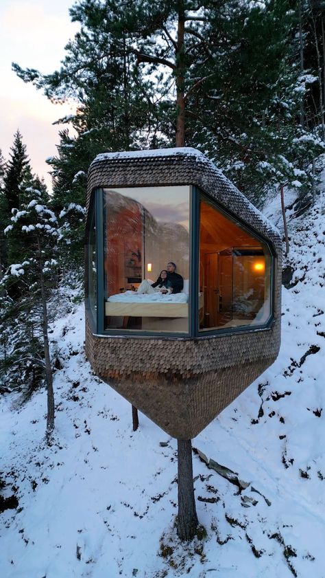 Jeremy Flores (@jeremyaustiin) | Instagram profile Tiny House In Woods, Luxury Treehouse, Treehouse Airbnb, Modern Tree House, Luxury Tree Houses, 8 Year Anniversary, Cool Tree Houses, Eco Architecture, Tree House Designs