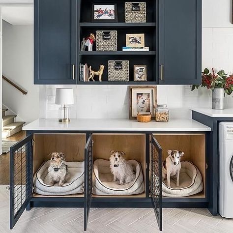 Dog Room Decor, Dog Bedroom, Dog Spaces, Dog Room, Dog Crate Furniture, Smart Tiles, Casa Country, Basket And Crate, Dog Rooms