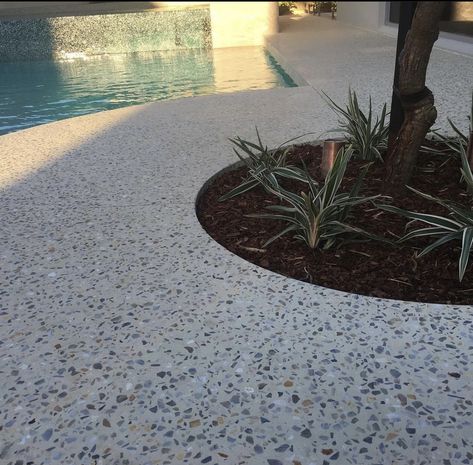 Pebblecrete Pool, Concrete Pool Surround, Honed Concrete, Pool Surround, Exposed Aggregate Concrete, Aggregate Concrete, Concrete Path, Mid Century Exterior, Exposed Aggregate