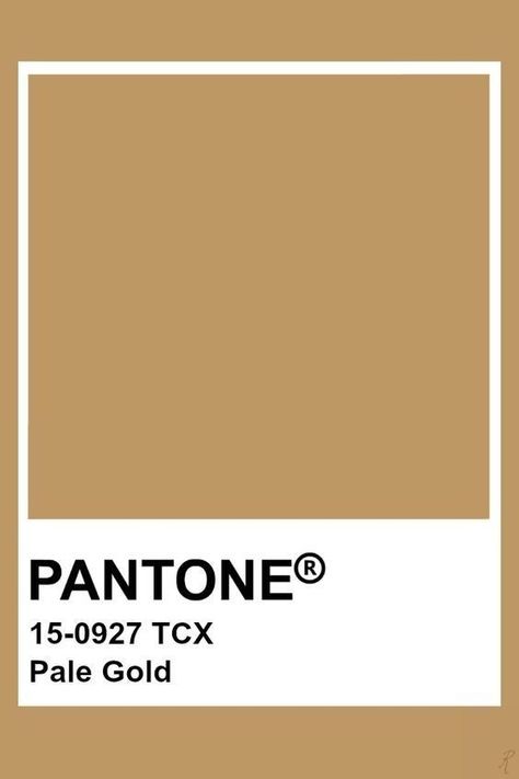 Brown Pantone, Pantone Tcx, Light Taupe Color, Pantone Color Chart, Pantone Swatches, Pantone Colours, Pantone Palette, Pantone Colour Palettes, Color Chip