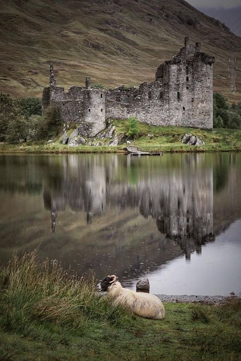 Kilchurn Castle, Abandoned Hotels, Castle Painting, Irish Castles, Castle Scotland, Mystical Places, Castles In Scotland, Scotland Castles, Scottish Castles