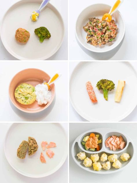 Salmon For 9 Month Old, Salmon For 8 Month Old, Baby Salmon Recipe, Salmon Recipe For Baby, Salmon Recipes For Baby, Baby Recipes 8 Months Meal Ideas, Salmon Baby Food Recipes, Salmon For Baby, Salmon Recepies