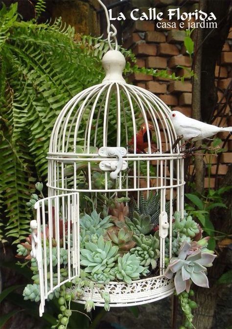 Old Bird Cage, Bird Cage Ideas, Wire Bird Cage, Birdcage Planter, Wire Bird, How To Water Succulents, Plant Succulents, Propagating Succulents, Vintage Garden Decor