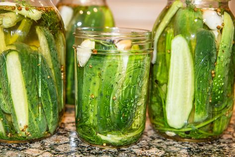 Classic Kosher Dill Pickle Recipe Classic Dill Pickle Recipe, Kosher Dill Pickle Recipe, Crispy Dill Pickles, Pickles Homemade Easy, Homemade Dill Pickles, Garden Canning, Pickling Crock, Homemade Pickles Dill, Kosher Dill Pickles