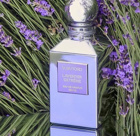 Best Lavender Perfume, Lavender Perfume Aesthetic, Creed Perfume Woman, Aromatic Perfume, Victorias Secret Angels, Freckles And Constellations, Perfume Lavender, Aesthetic Peaceful, Purple Perfume