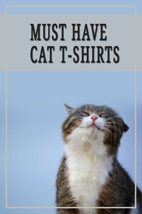 T-shirts are a way for people to express their love for a movie, a band or sports team.  And more recently, cats. With the help of a fairly recent invention , the Internet , cat lovers can easily find and buy any cat T-shirt they desire, and support a creator they love. #tshirts #tshirtsforwomen #cats #catlovers #catowners #catgifts  #meowpassion Cat Dad Gifts, Cats Shirt, Wedding Gifts For Friends, Cat Tshirts Funny, Aesthetic Gift, Cat Products, Cat Themed Gifts, Cat Mom Gifts, Cat Tee