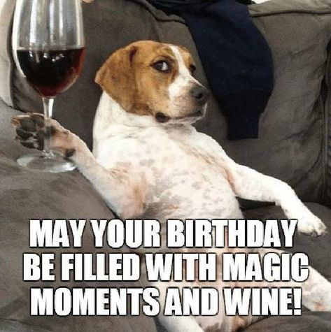 happy birthday wine filled meme Happy Birthday Wine Funny, Birthday Wine Quotes, Wine Memes, Happy Birthday Wine, Funny Happy Birthday Meme, Wine Meme, Wine Funny, Funny Happy Birthday Wishes, Happy Birthday Dog