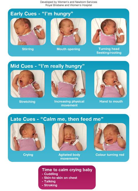 Feeding Cues, Hunger Cues, Infant Development, Prenatal Classes, Gestational Age, Breastfeeding Positions, Newborn Feeding, Baby Ready, Breastfeeding And Pumping