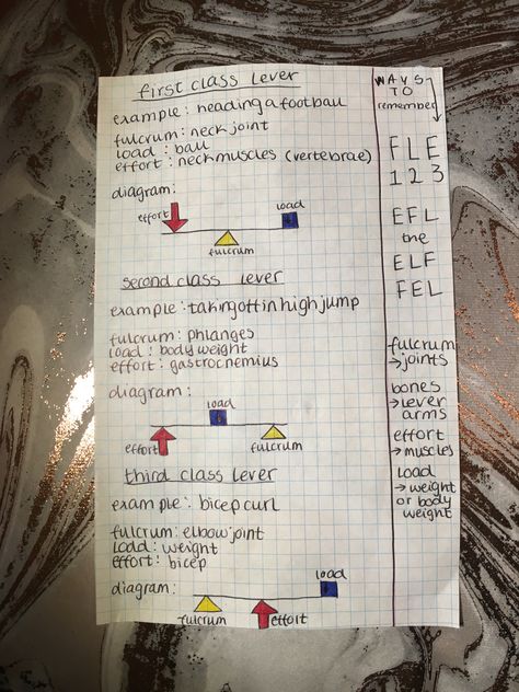 First class, second class, third class levers. Gcse Pe, Gcse Revision, Notes Ideas, School Hacks, Study Notes, First Class, Science, Quick Saves