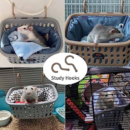 Rat Cage Diy, Types Of Rats, Diy Rat Toys, Pet Rat Cages, Rat Cage Accessories, Rat Care, Rat Hammock, Chinchilla Pet, Chinchilla Cage